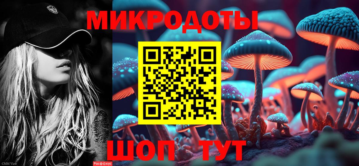 Галлюциногенные грибы прущие грибы  Вход с VPN  Архангельск  Галлюциногенные грибы Psilocybine cubensis 